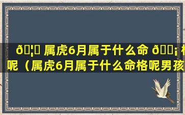 🦉 属虎6月属于什么命 🐡 格呢（属虎6月属于什么命格呢男孩）